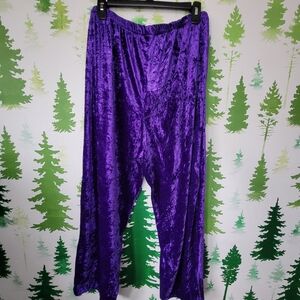 Vibrant Purple Casual Velvet Pants.